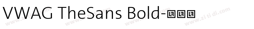 VWAG TheSans Bold字体转换